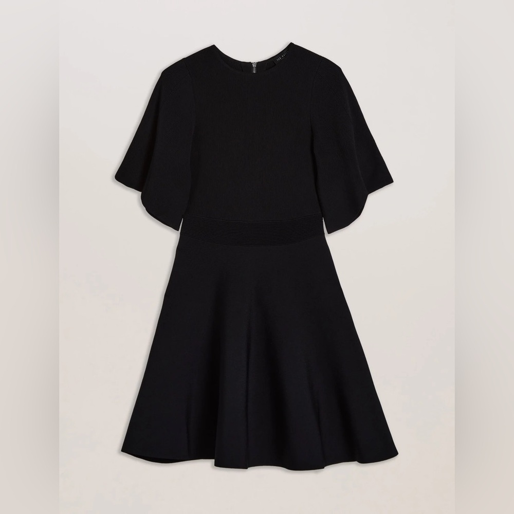 Ted Baker London Oliviha Fit & Flare mini dress